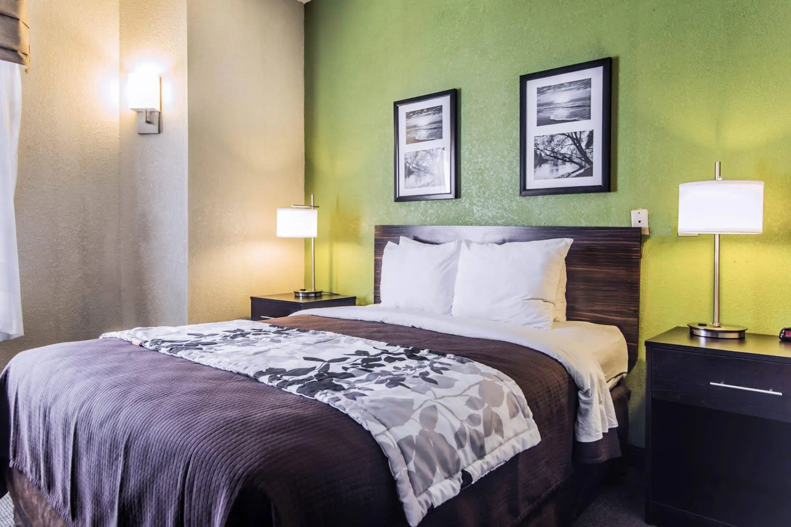 Sleep Inn Walterboro I-95