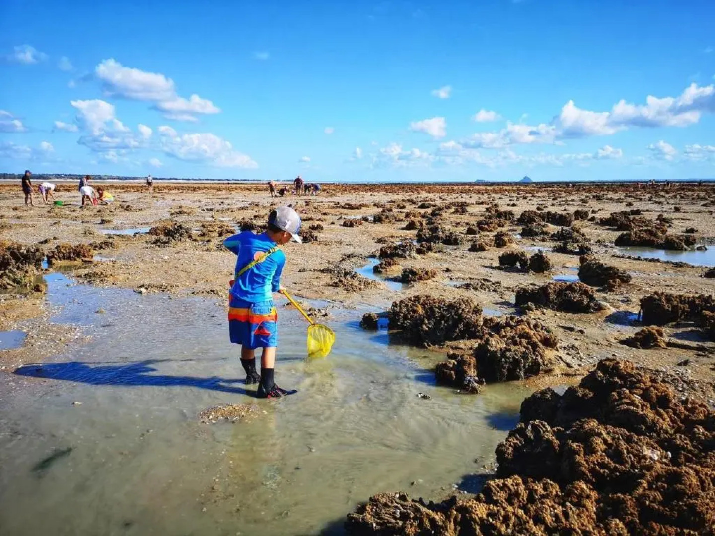 Appartement Donville-les-Bains, 2 pièces, 2 personnes - FR-1-361-442