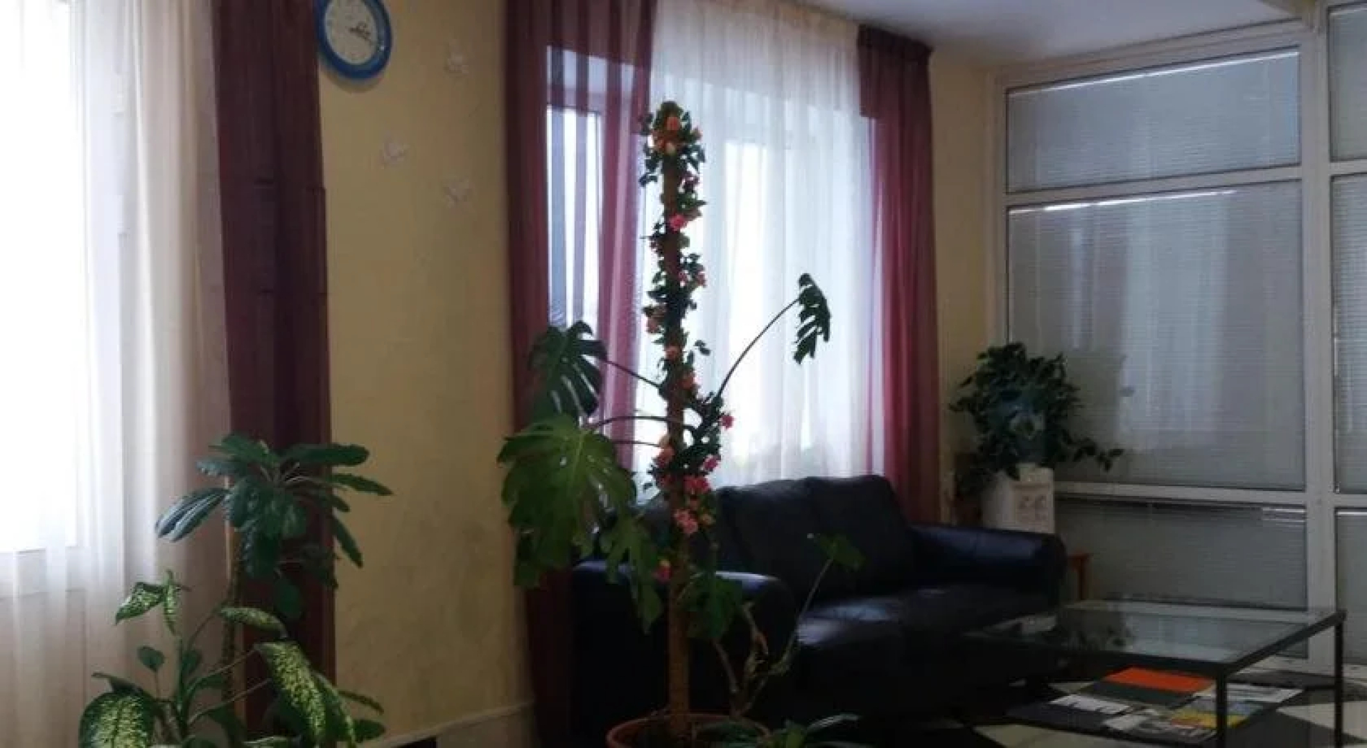 Орион