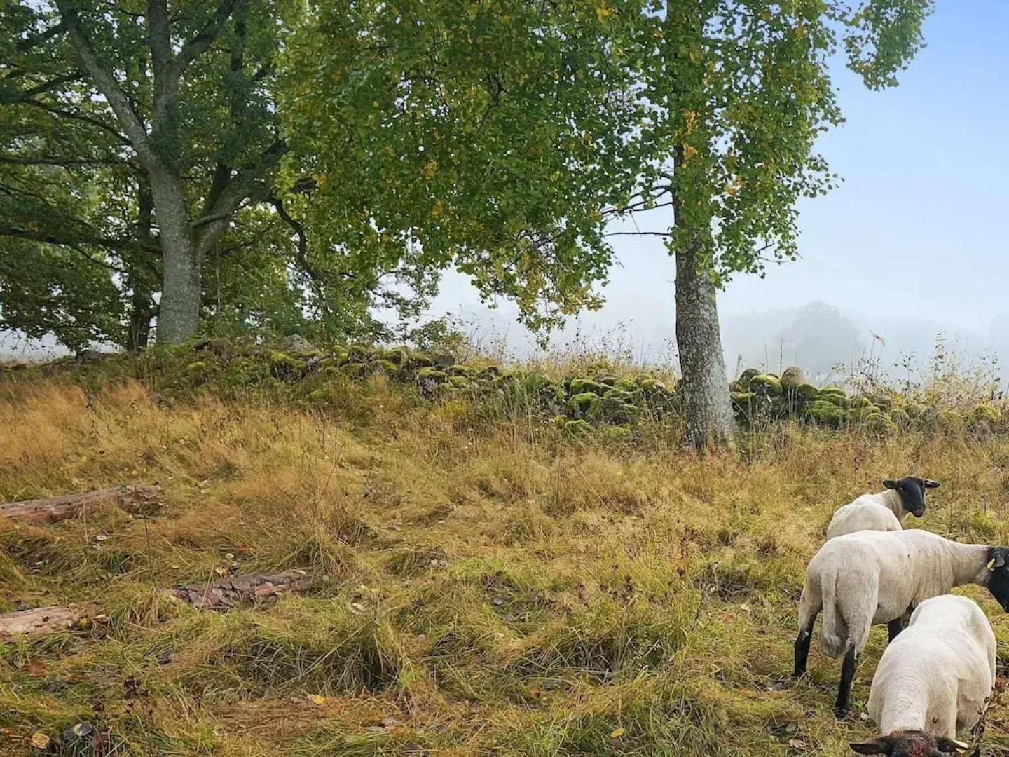 6 Person Holiday Home in Floby