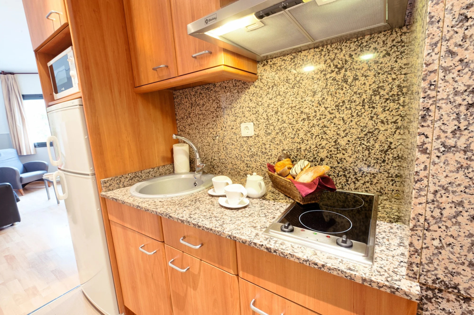 Apartments Sata Park Guell Area