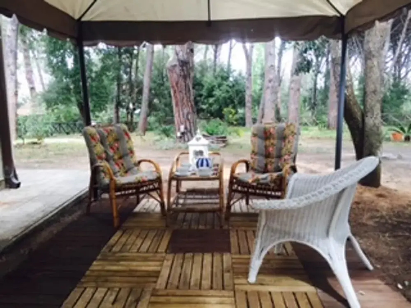 House With 4 Bedrooms in Castiglione Della Pescaia, With Enclosed Garden and Wifi