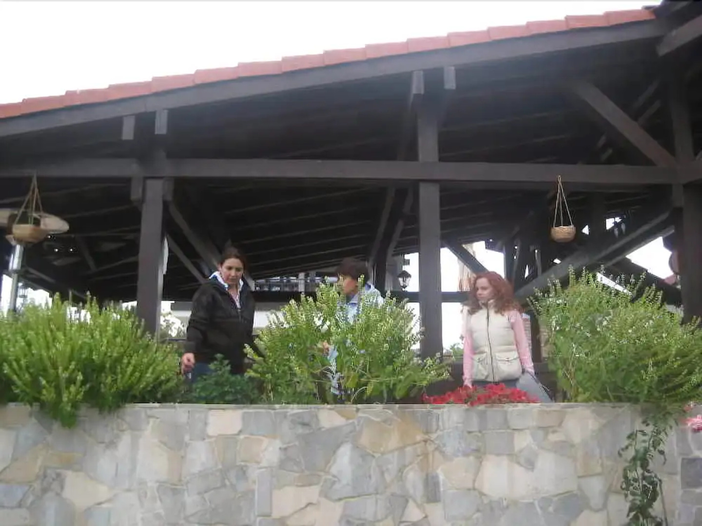 Delta Dreams Pension