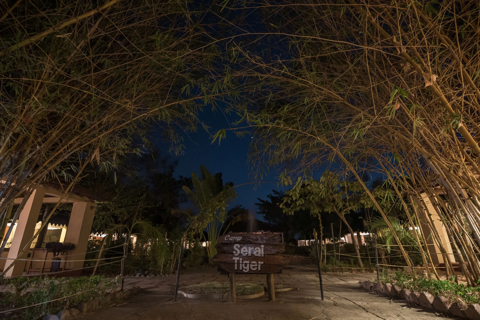 Camp Serai Tiger Tadoba