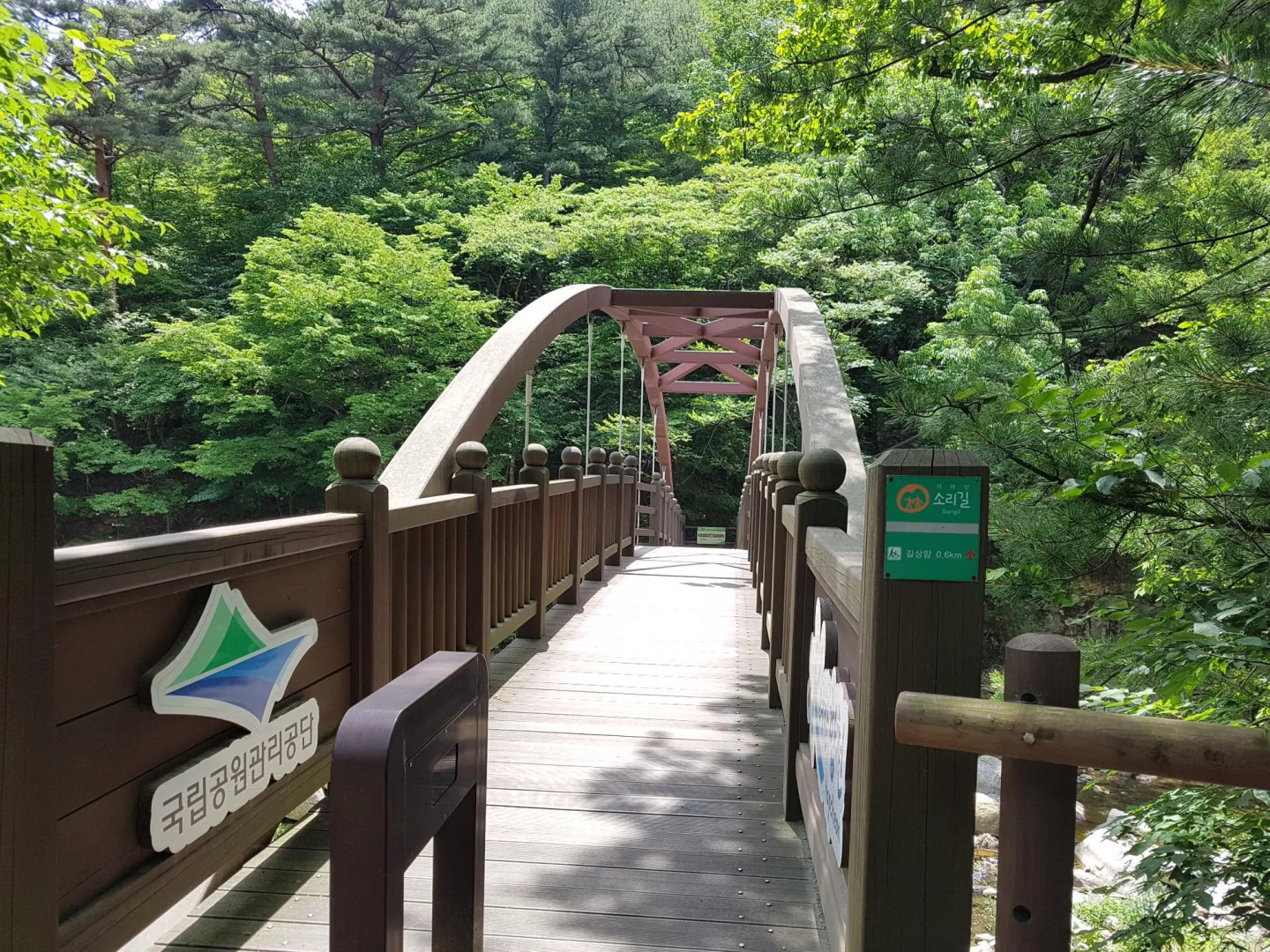 Hapcheon glamping story