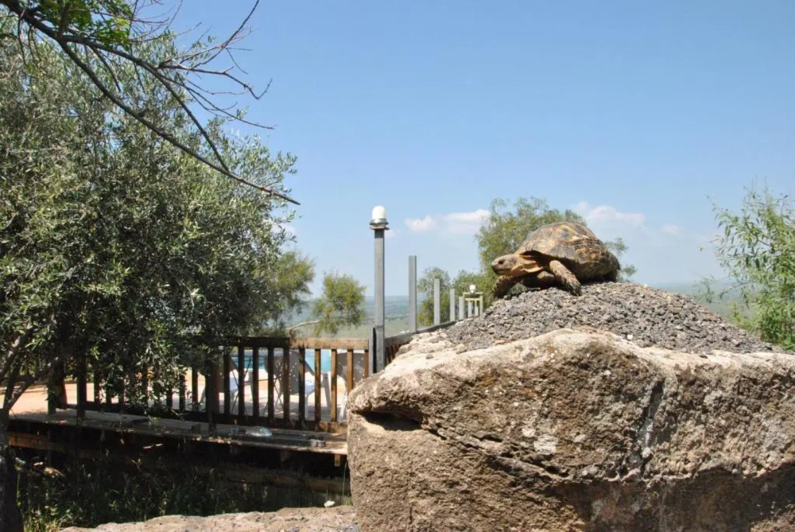 wooden Edge Of The Village