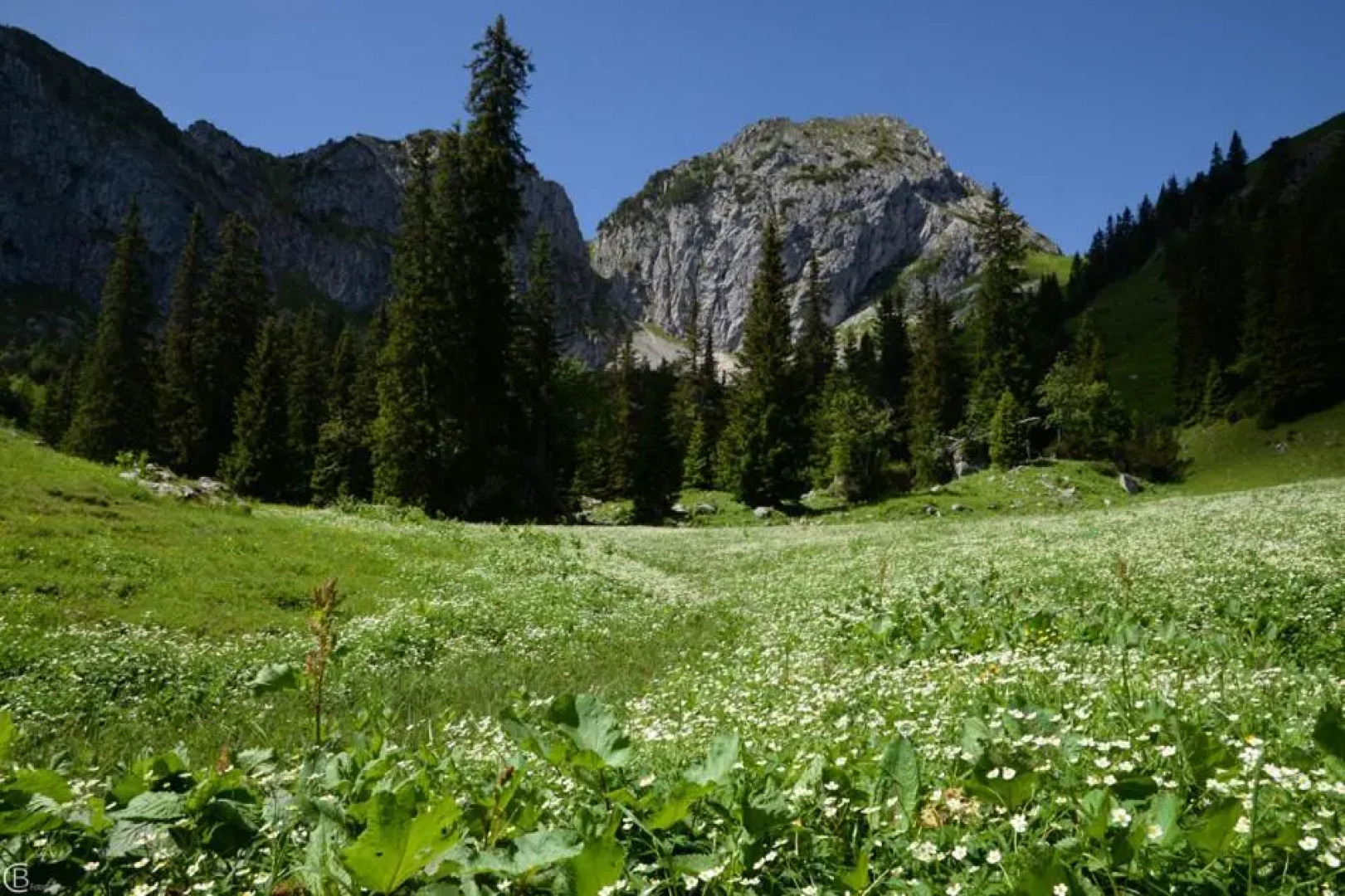 Landhaus Hohenschwangau