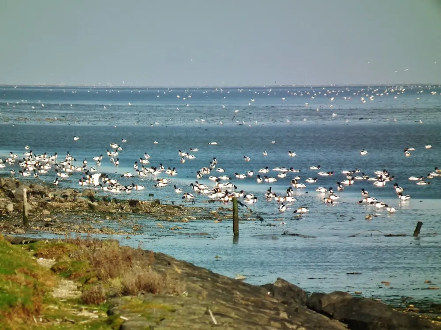 Sunlit Villa with Sauna in Nes