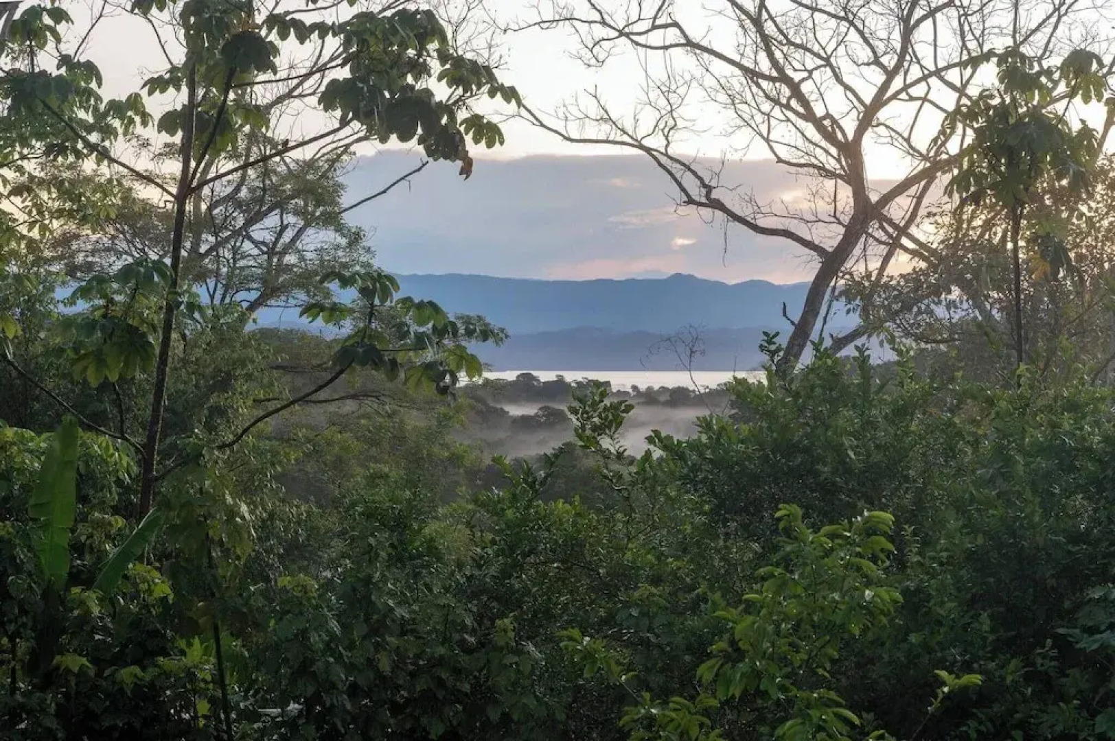 Villa Bruno - Terrace - Jungle - Birdwatching