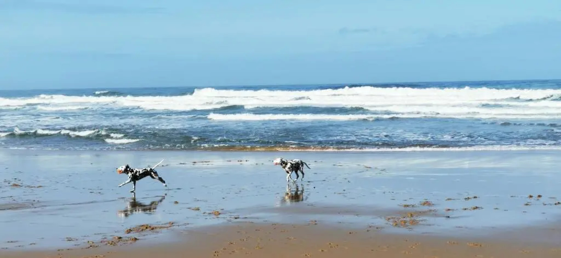 Mega Ocean Magoito - Guest House - Sintra