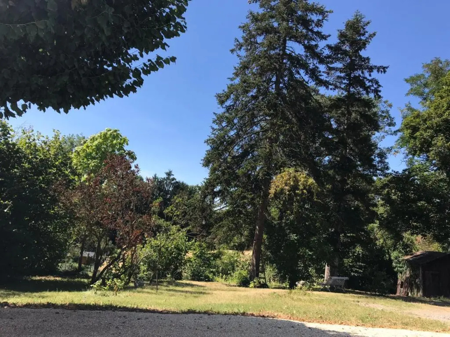Charmant F1 avec terrasse et vue sur jardin arboré - fraicheur naturelle du rez de jardin - parking