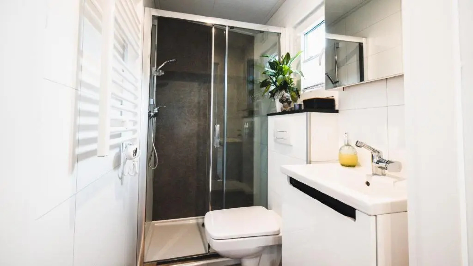 Auszeit am Alfsee, im Lichterwald