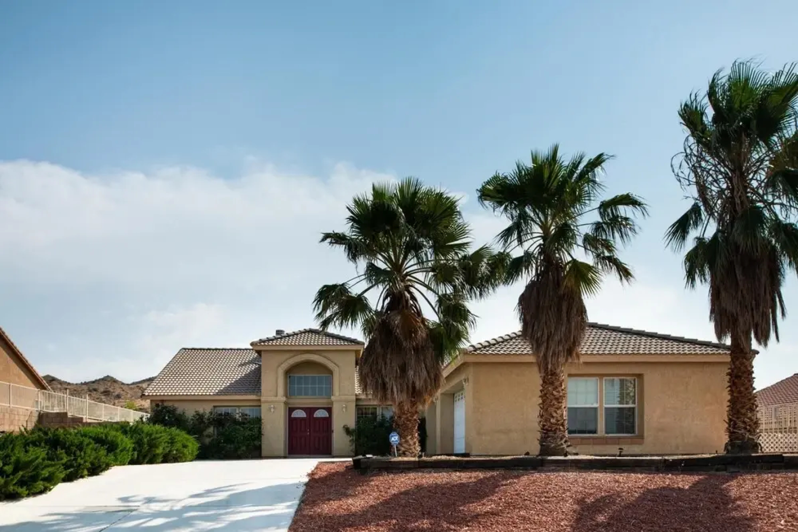 Selecta Ave - Fauna in Yucca Valley