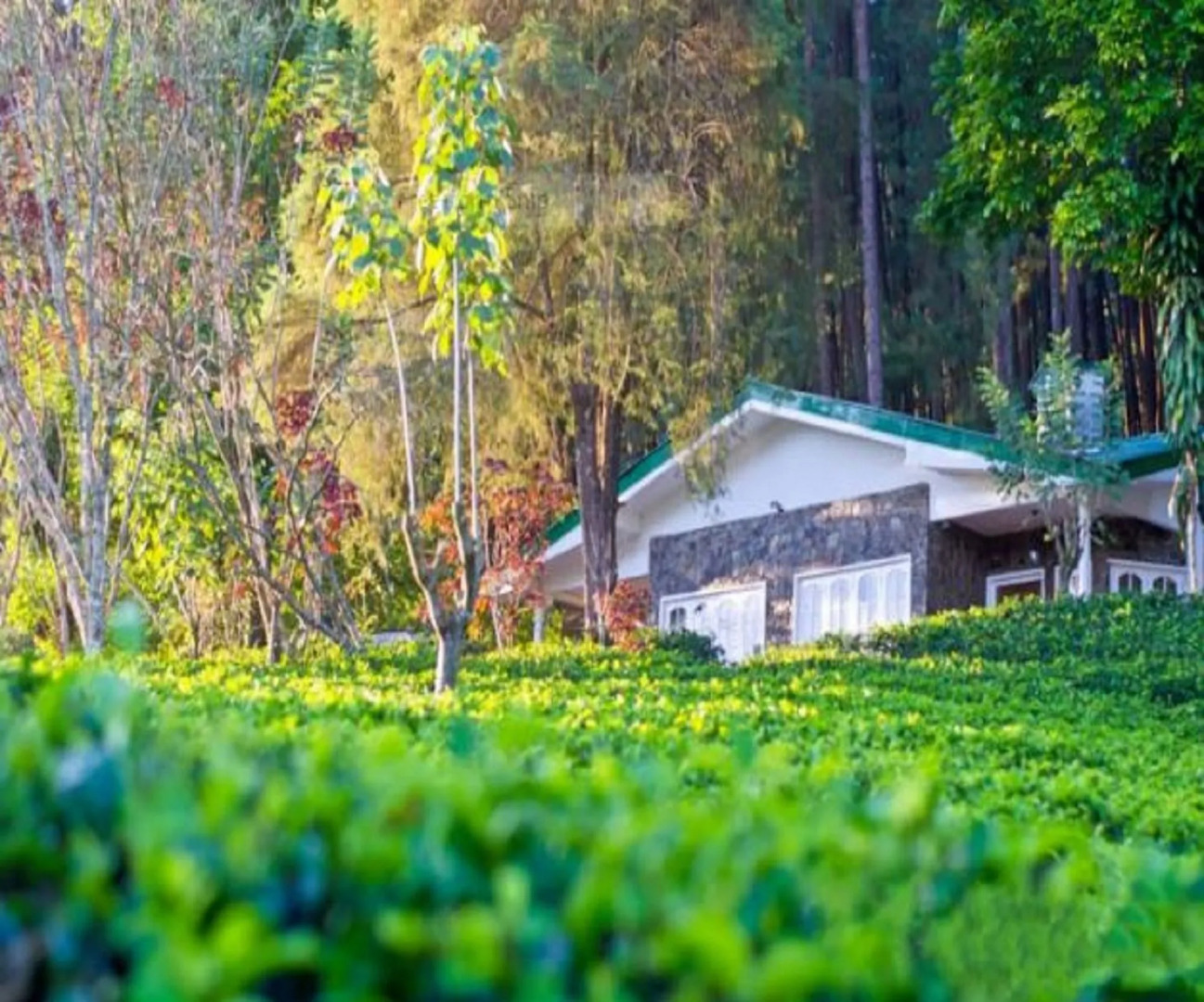 The Greendale Bungalow