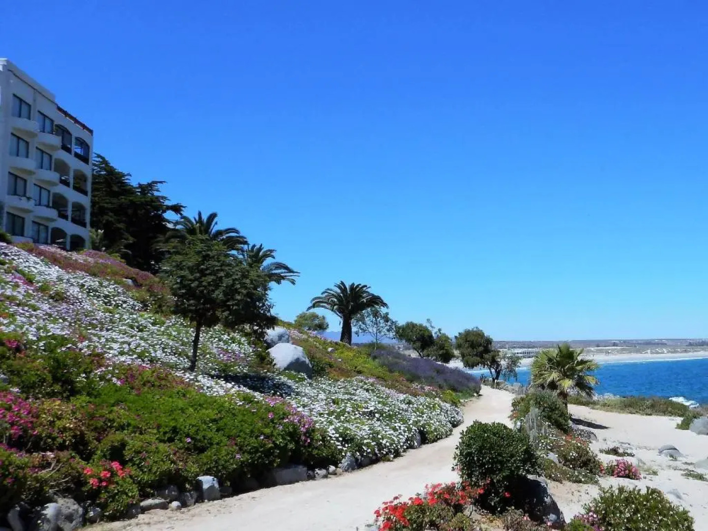 Departamento Puerto Velero Angelica