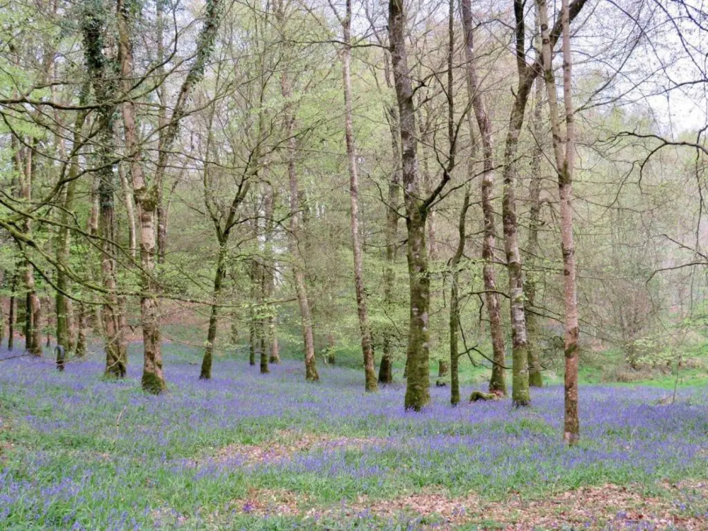 Triumphal Arch Lodge