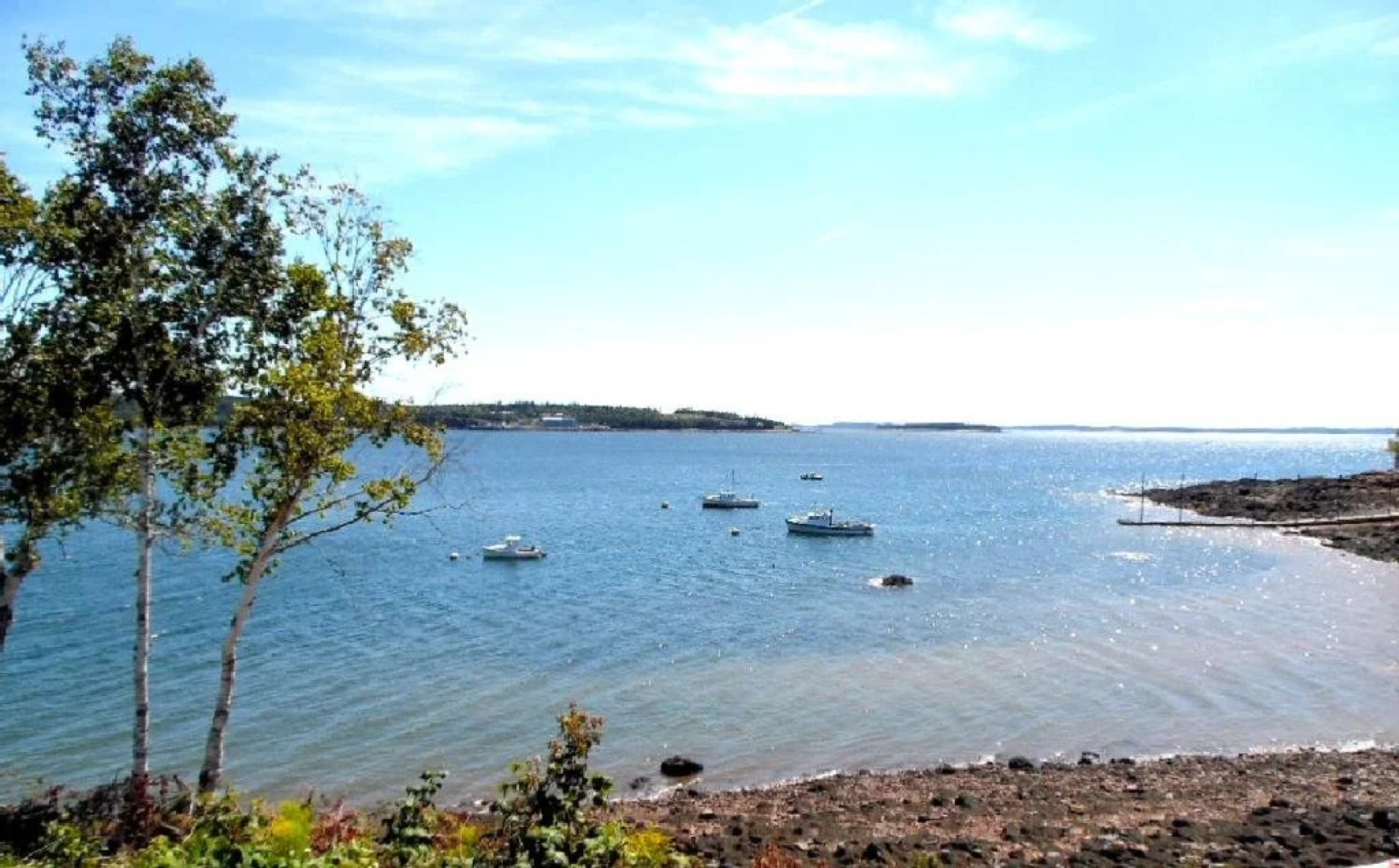 Redclyffe Shore Motor Inn