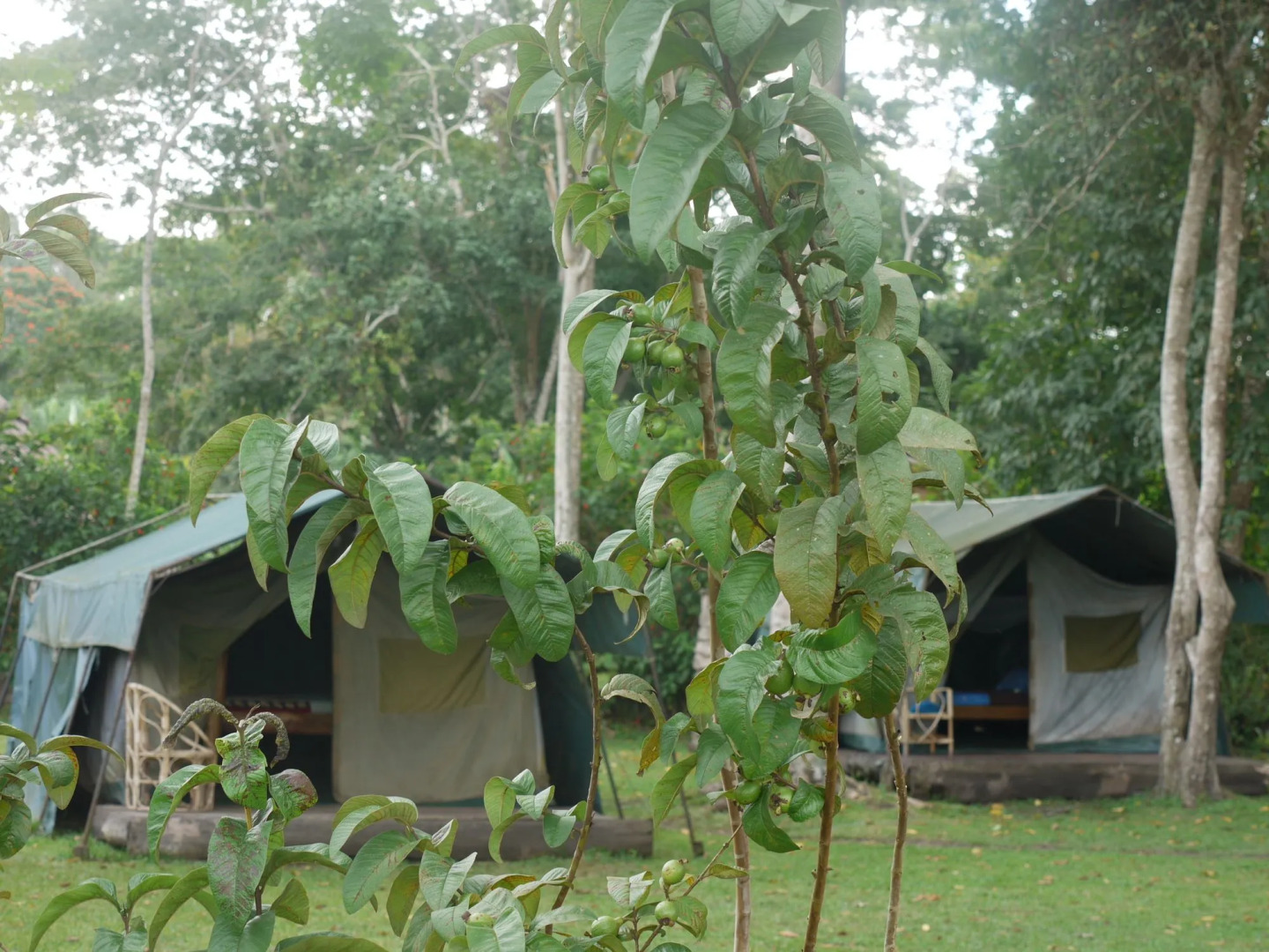 Rweteera Safari Park