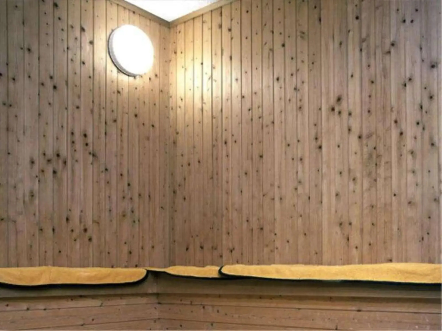 Izunagaoka Onsen Hotel Sun Valley Annex