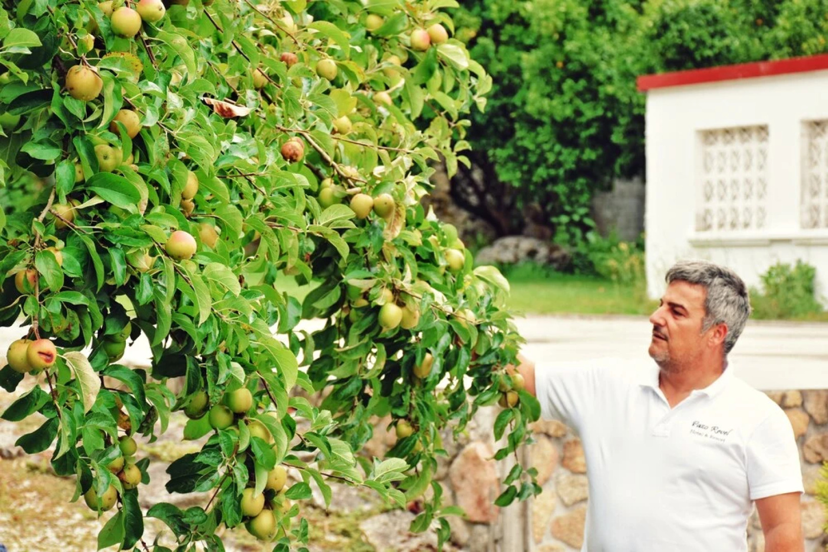 Pazo Revel Hotel & Resort