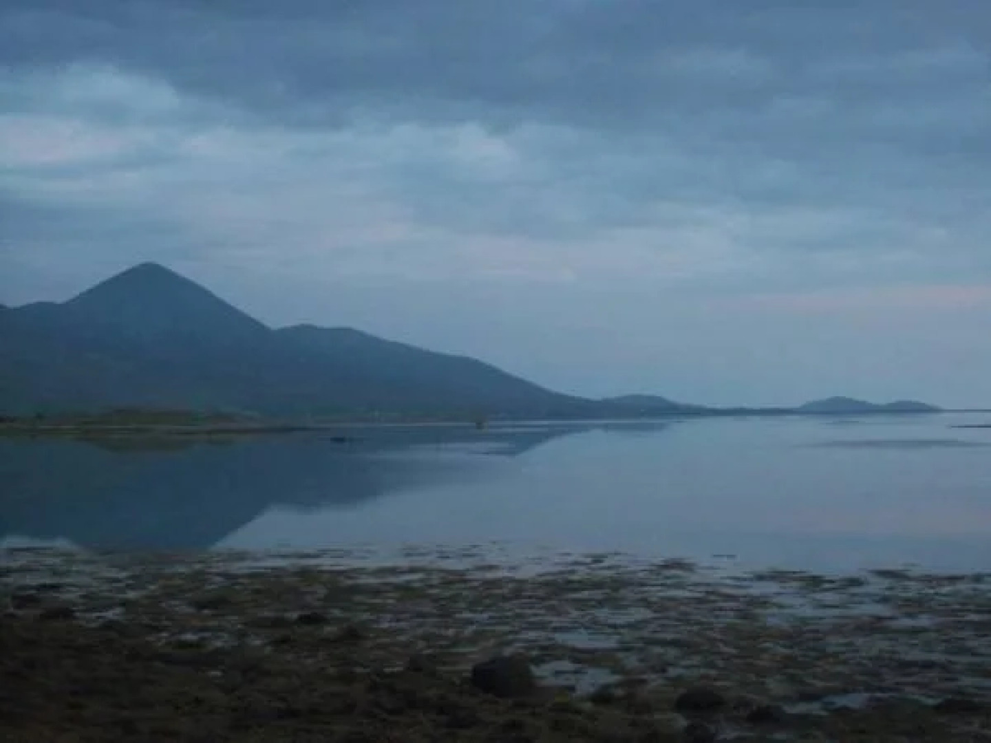 Mc Carthy's Lodge & Bar