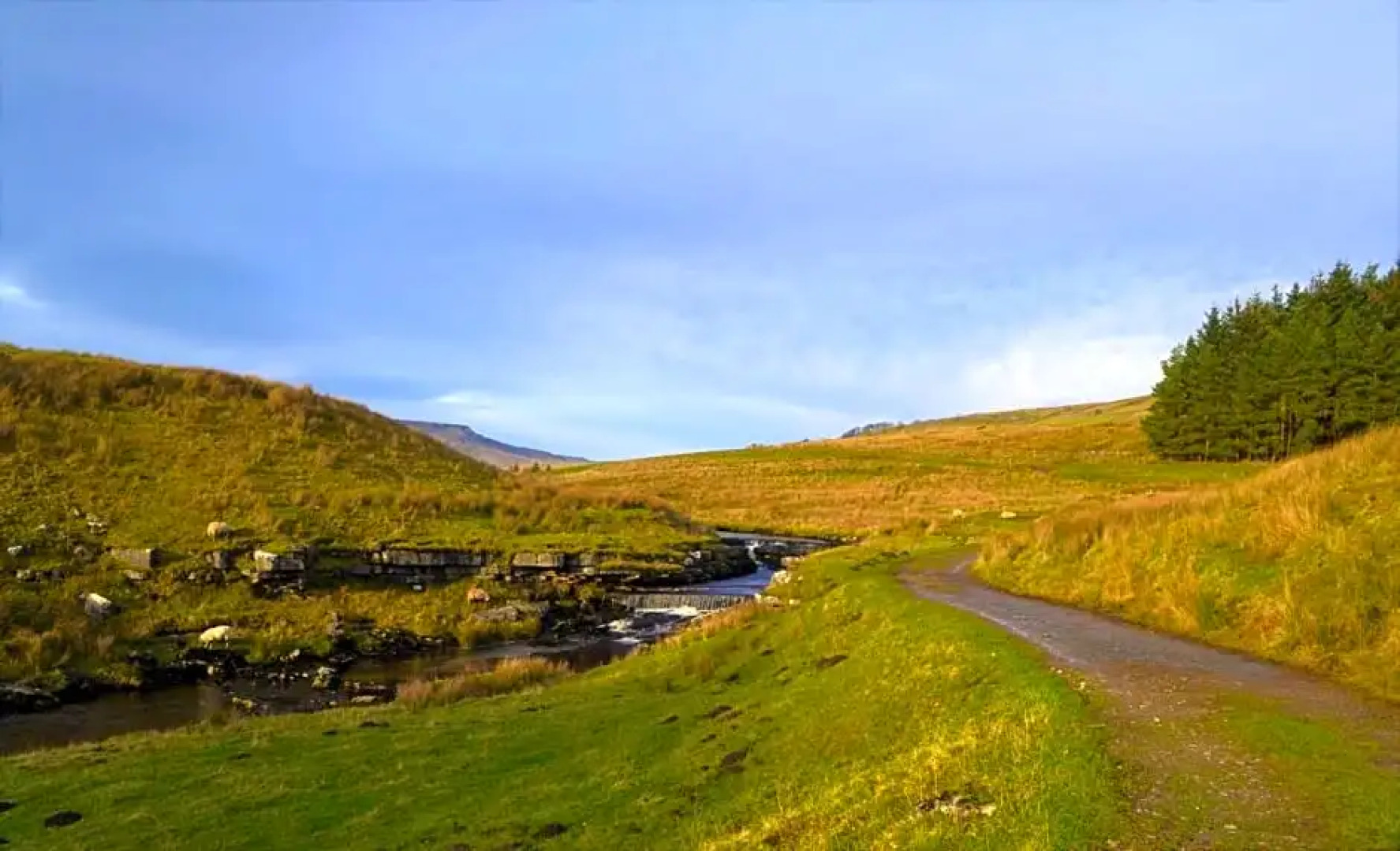 The Garsdale Bed & Breakfast - Goats and Oats at Garsdale