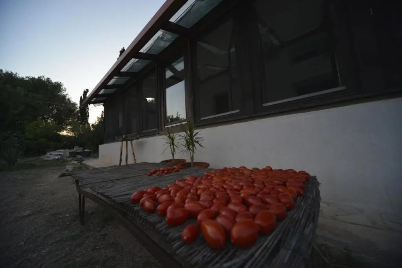 Mater Bed  Food