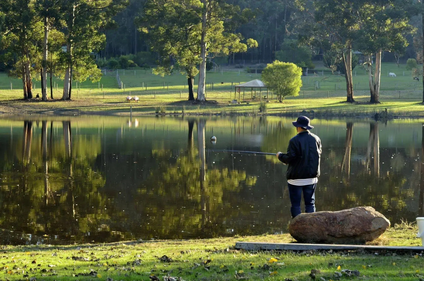 Diamond Forest Farm Stay