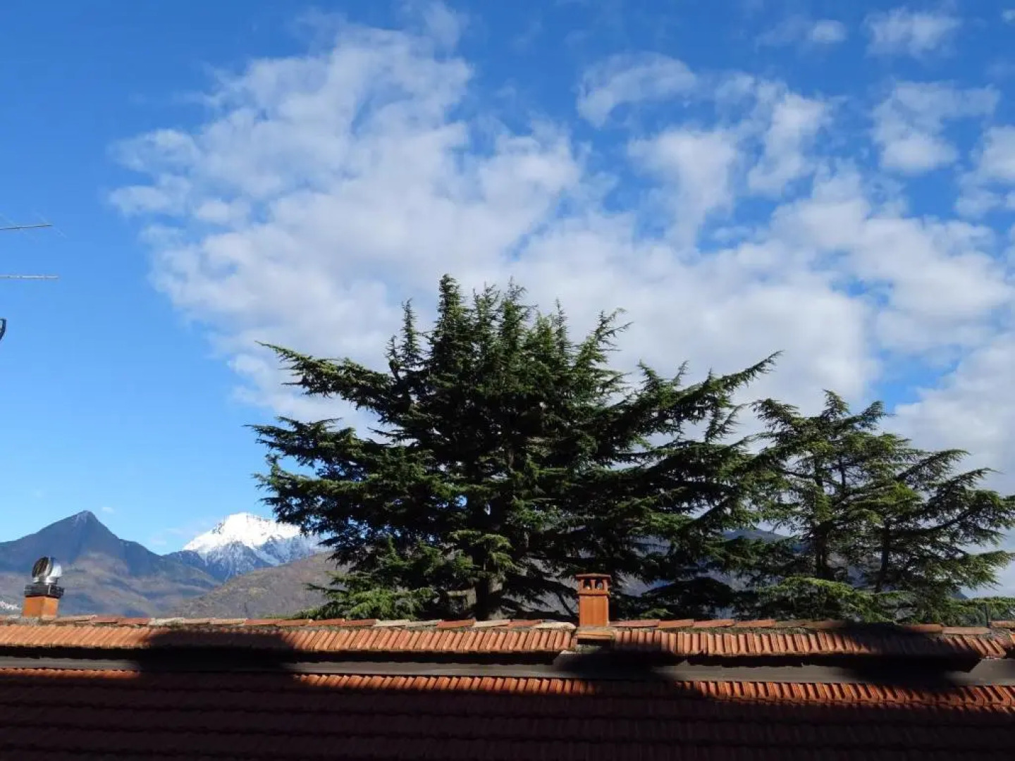 Cipresso 20 - 21 am Wasser