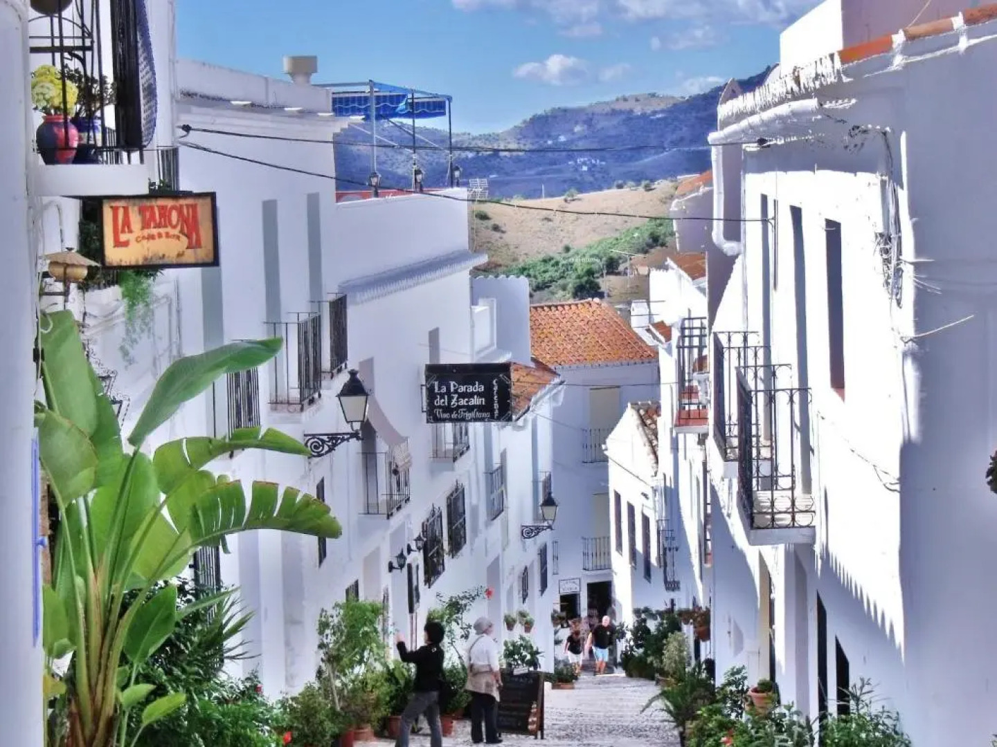 Nerja paradise Rentals - Villa Cataleya