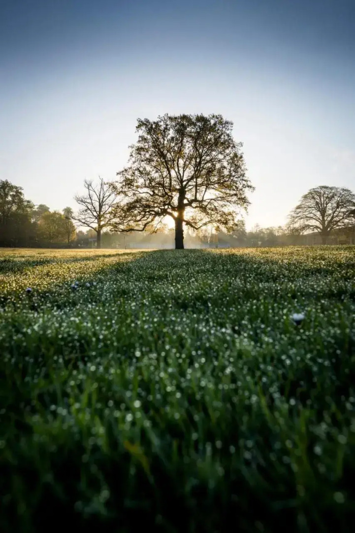 Wellcome Genome Campus Conference Centre