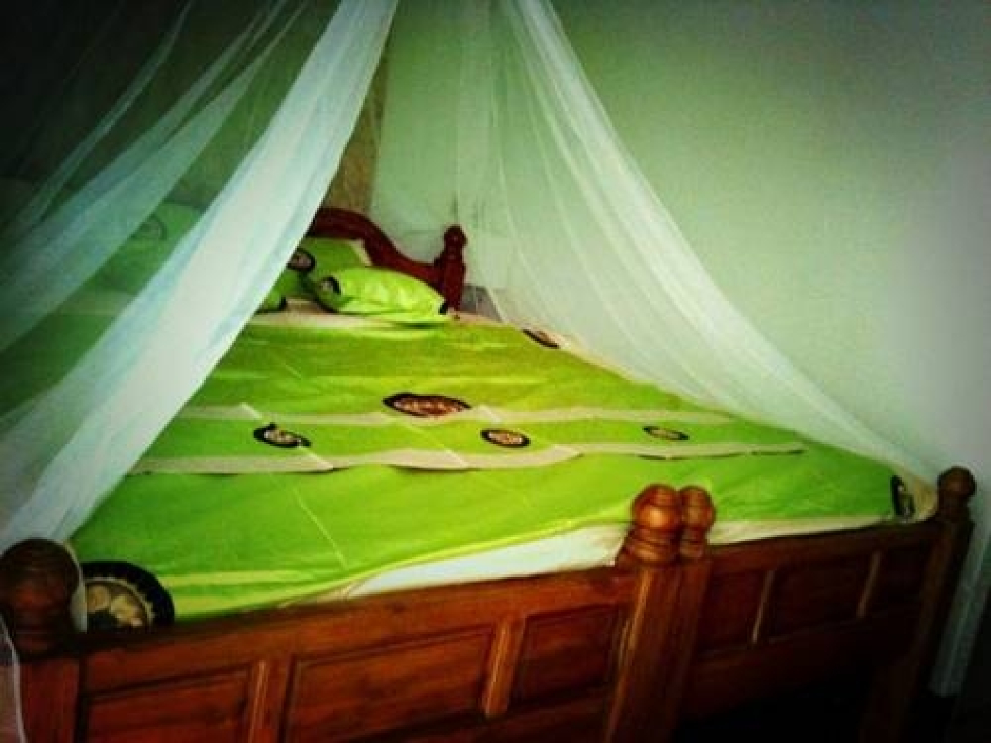 Khun Maekok Tara Resort