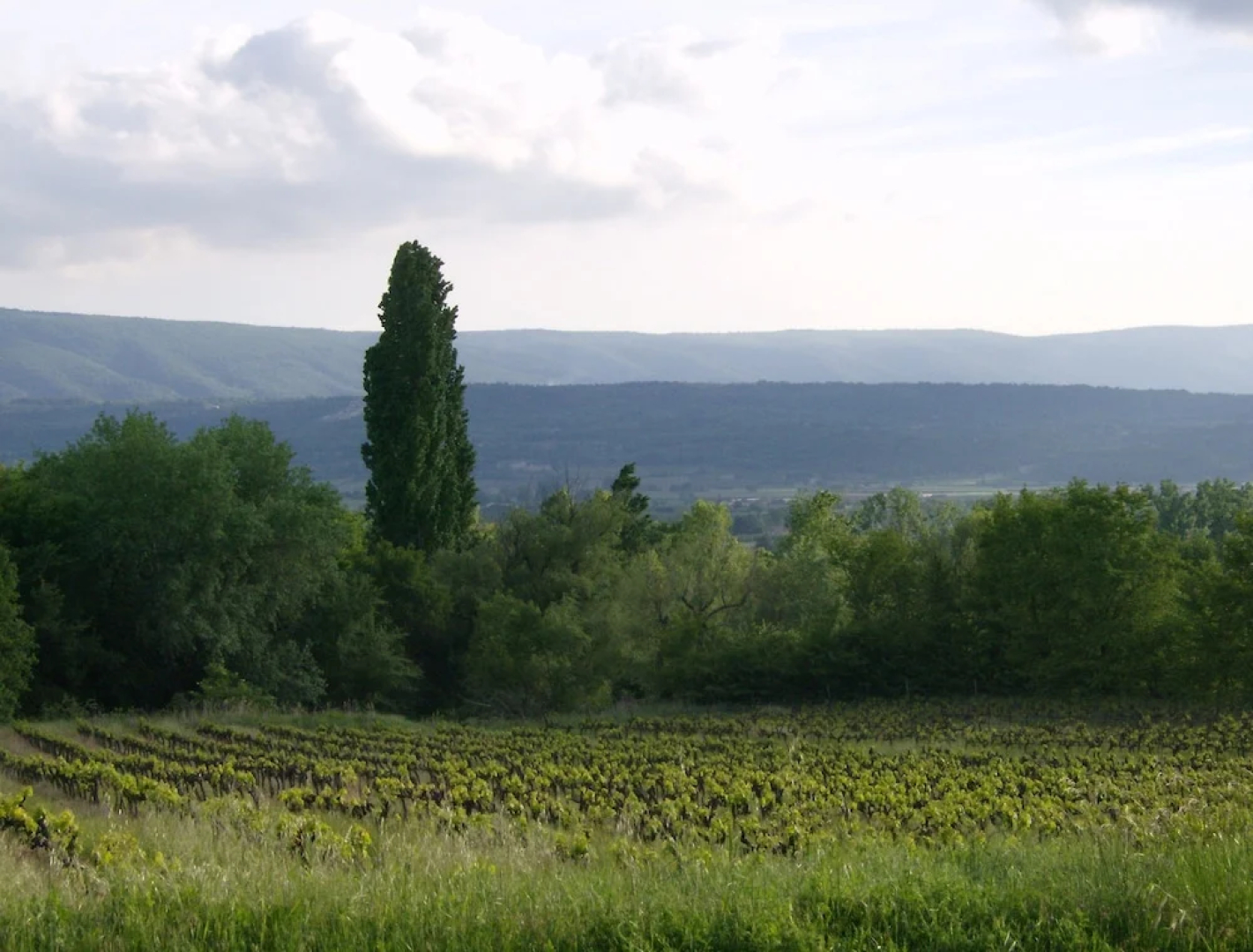 Maison Azuren LS2-209