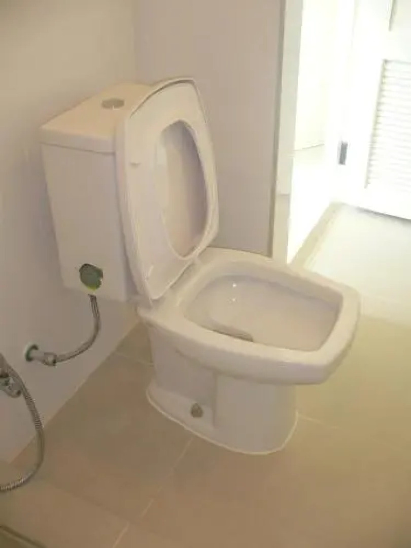 Paradise Park 810 811