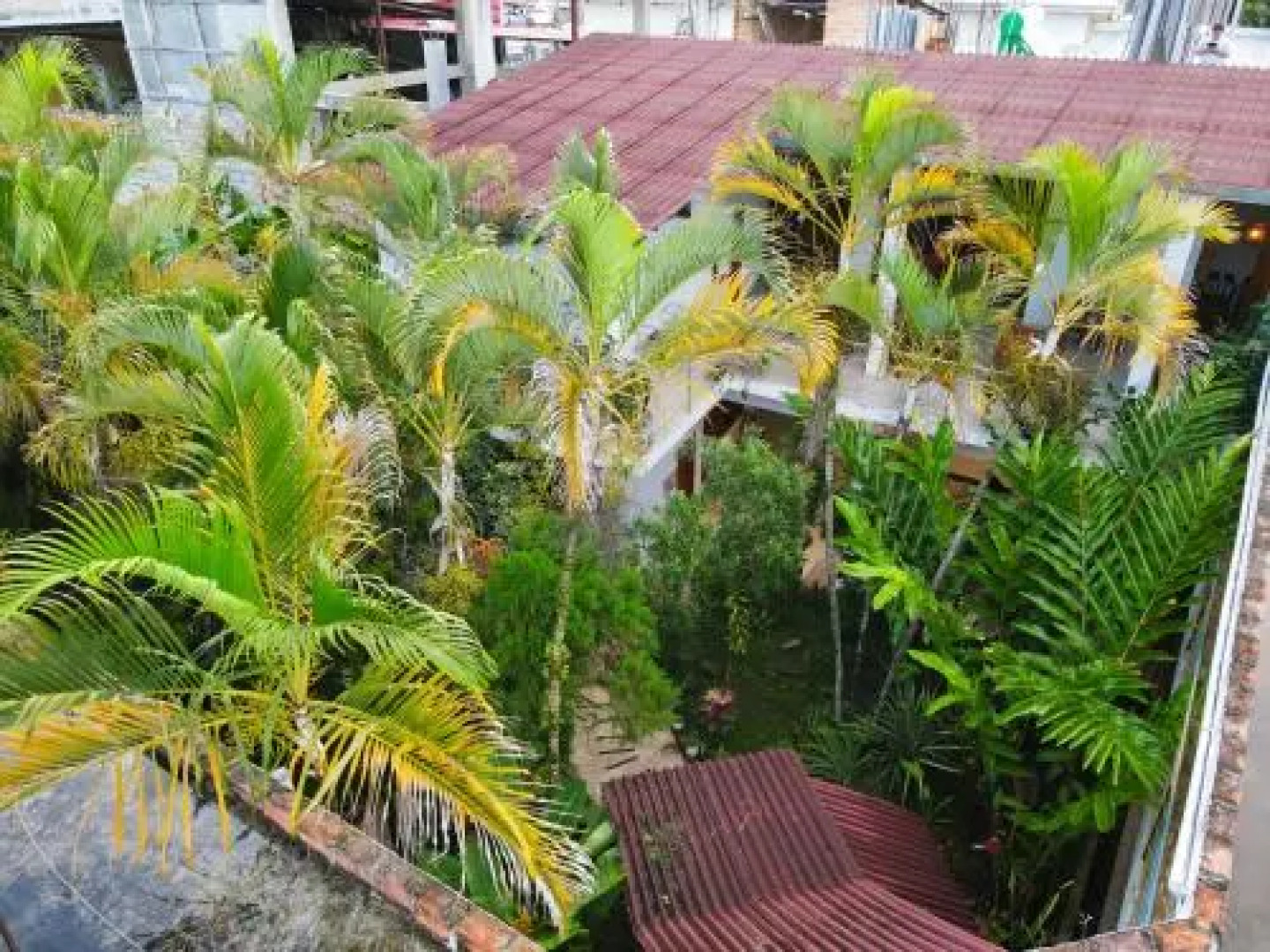 Hostal La Cueva Moyobamba