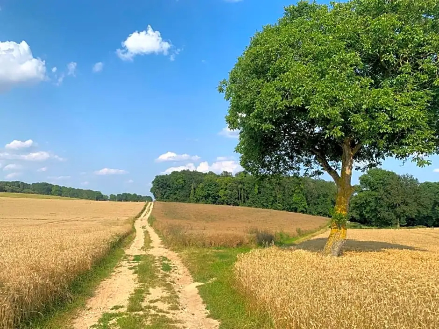 Le Chateau D’Hardricourt