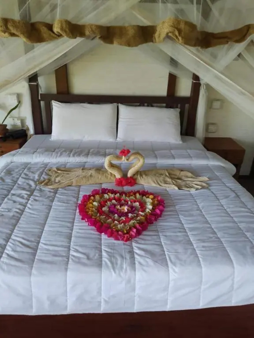 TS2W See More Beach Treehouse