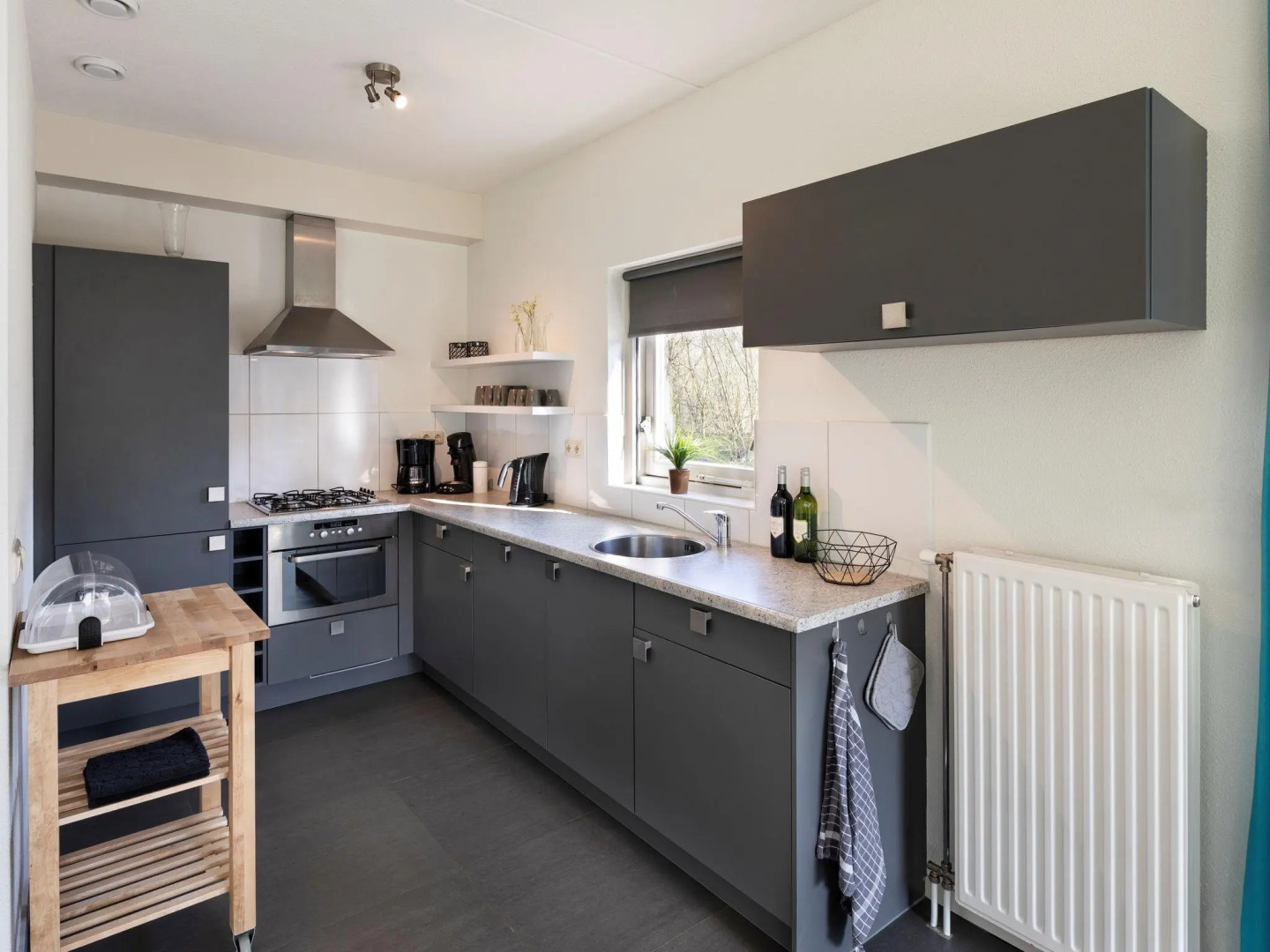 Thatched villa with two bathrooms, at 8 km. from Hoogeveen