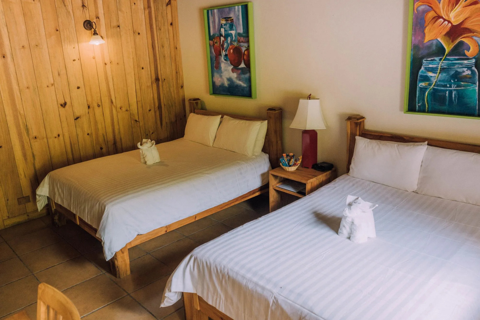 Tree Trek Boquete Adventure Park