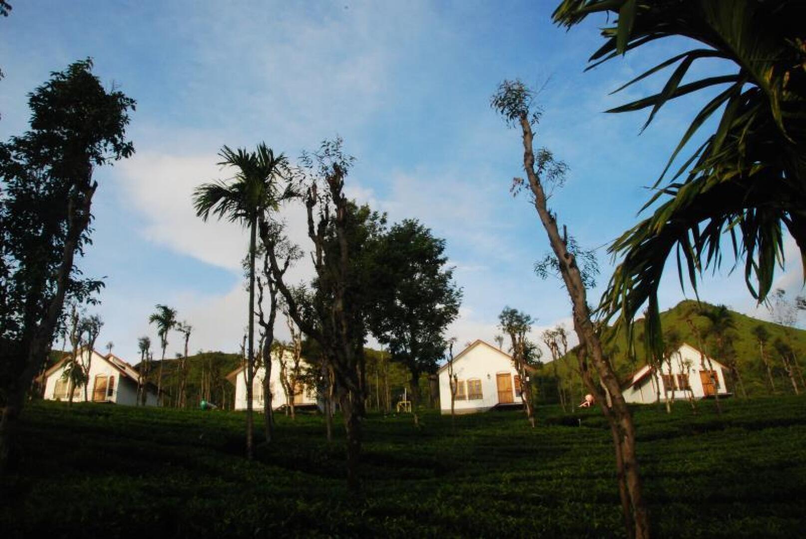 Tea Terrace Vythiri Resort