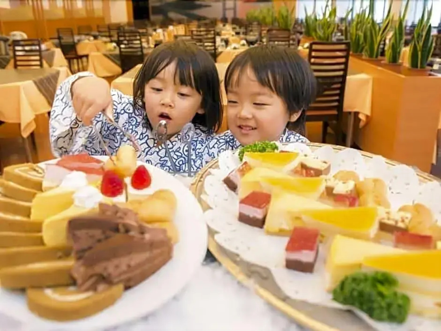 Windy Terrace Boutique Hotel