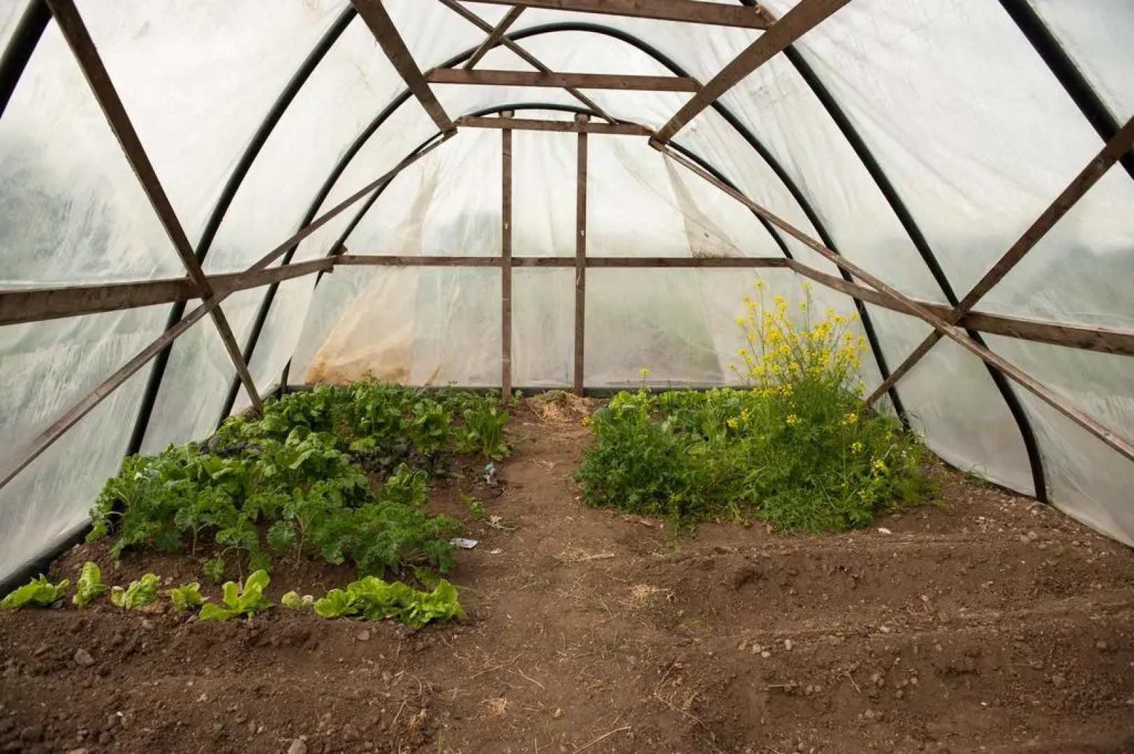 Fort House Bed & Breakfast