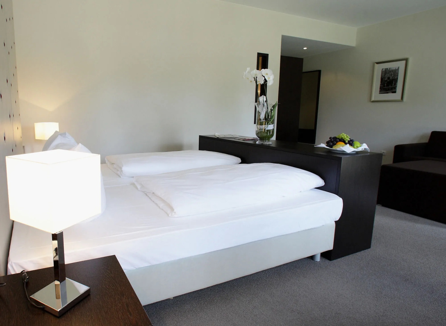 Friendly City Hotel Oktopus