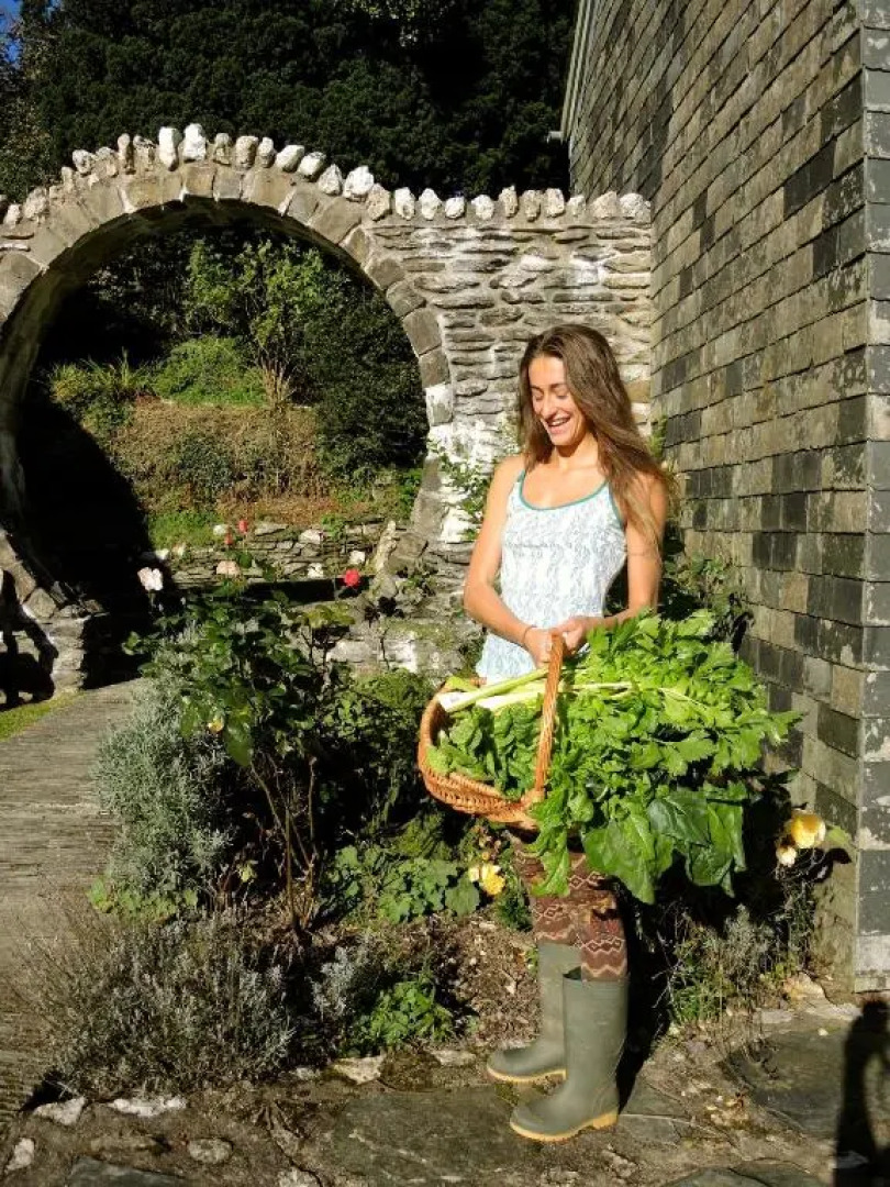 Holwell Holistic Retreat