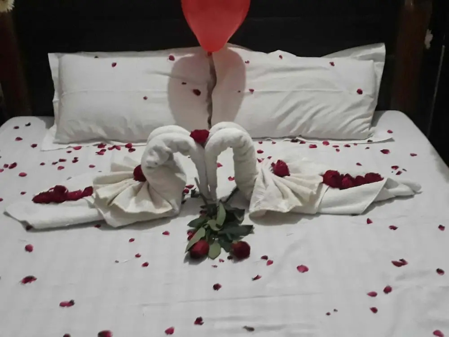 Hotel Surya Palace