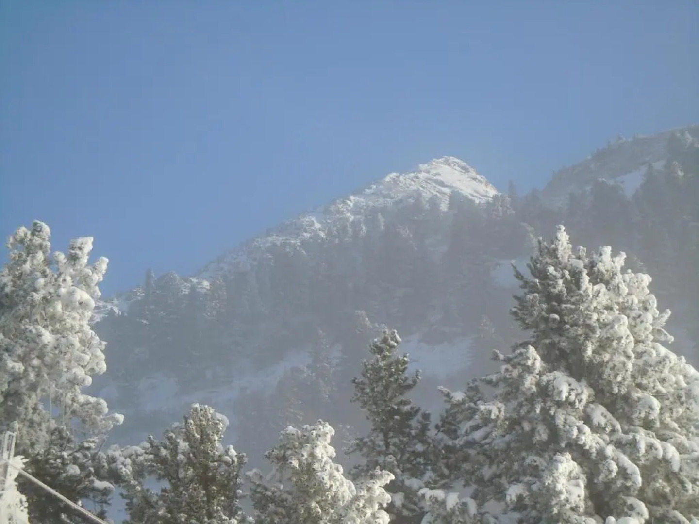 Hotel & Appartements Auerhahn