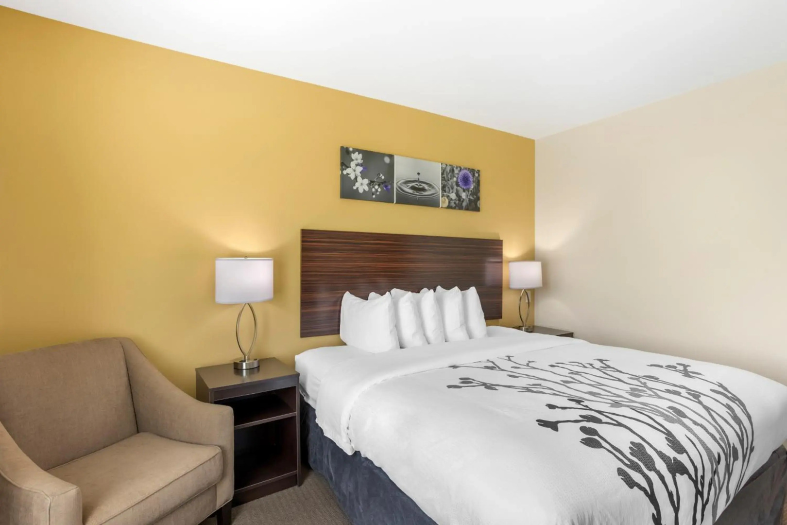 Sleep Inn North - Central York