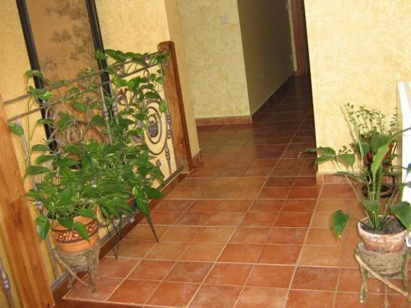 Centro de Turismo Rural El Museo