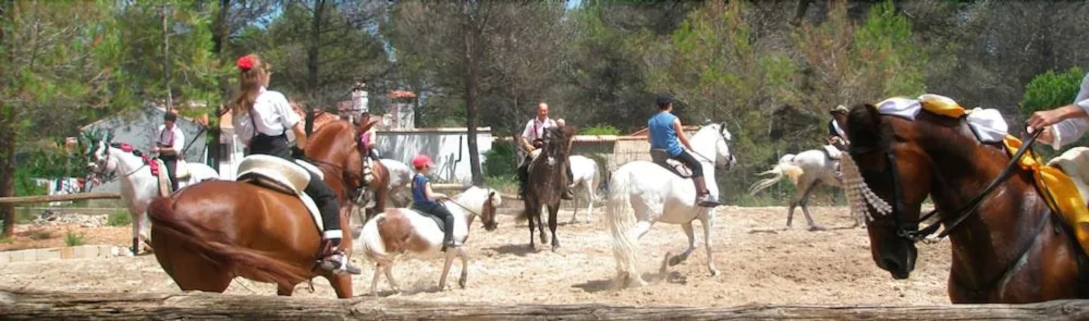 Hotel Rural Bonestar