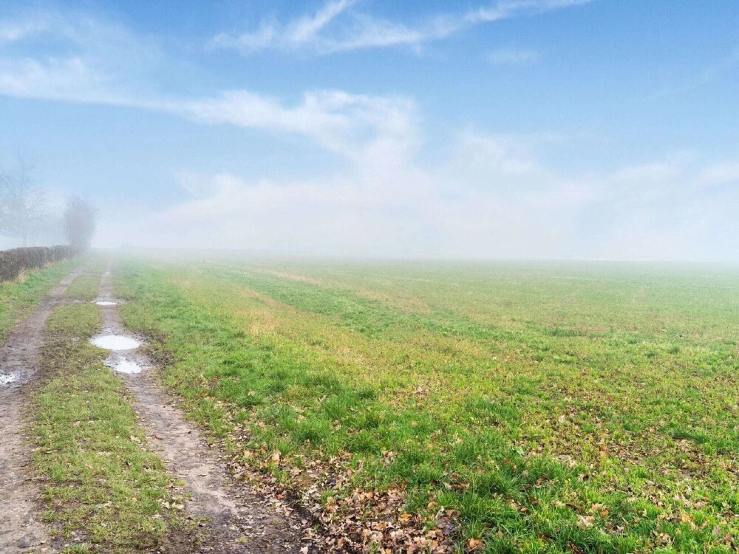 Royal Apartment in Slenaken With Terrace
